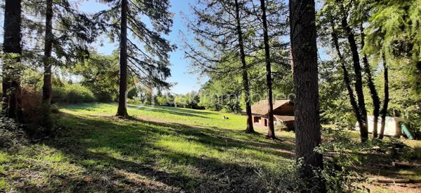 Exclusivité
📍Sur la commune de Chaillac sur Vienne 87200, à 8 minutes de Saint-Junien et à 8 minutes de Rochechouart, Terres Agricoles avec Lac et Chalet.
🌳🍄‍🟫Un terrain non constructible de 39169 m² composé de prairies et de bois (3/4 en herbe et 1/4 en bois).	
🦆Un lac de 10 000 m² environ, poissonneux (Carpes, Sandres, Gardons, Perches, Brochets). Il est alimenté par une source, à 350 mètres d'altitude et ne s'est jamais asséché. Profondeur, entre 5 et 6 mètres.
🛖Un chalet "off-grid", non raccordé aux réseaux (eau, électricité, fibre) qui comprend une pièce de vie de 21 m², une terrasse et une dépendance attenante. Absence d'assainissement.
Une douche et des toilettes sèches se trouvent à l'extérieur.
Sur place, également un puits alimenté par des sources, une caravane et une barque.
Il est possible d'y habiter, à condition d'acheminer le réseau d'eau courante jusqu'au chalet (300 mètres).
Arbres sur place : Chênes, Châtaigniers, Pins Sylvestres, Erable Canadien, Chêne Américain, Peupliers et Sapins.
Toutes commodités à moins de 10 minutes.