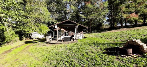 Exclusivité
📍Sur la commune de Chaillac sur Vienne 87200, à 8 minutes de Saint-Junien et à 8 minutes de Rochechouart, Terres Agricoles avec Lac et Chalet.
🌳🍄‍🟫Un terrain non constructible de 39169 m² composé de prairies et de bois (3/4 en herbe et 1/4 en bois).	
🦆Un lac de 10 000 m² environ, poissonneux (Carpes, Sandres, Gardons, Perches, Brochets). Il est alimenté par une source, à 350 mètres d'altitude et ne s'est jamais asséché. Profondeur, entre 5 et 6 mètres.
🛖Un chalet "off-grid", non raccordé aux réseaux (eau, électricité, fibre) qui comprend une pièce de vie de 21 m², une terrasse et une dépendance attenante. Absence d'assainissement.
Une douche et des toilettes sèches se trouvent à l'extérieur.
Sur place, également un puits alimenté par des sources, une caravane et une barque.
Il est possible d'y habiter, à condition d'acheminer le réseau d'eau courante jusqu'au chalet (300 mètres).
Arbres sur place : Chênes, Châtaigniers, Pins Sylvestres, Erable Canadien, Chêne Américain, Peupliers et Sapins.
Toutes commodités à moins de 10 minutes.