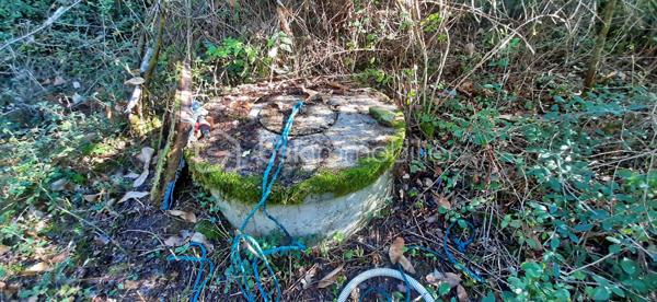 Exclusivité
📍Sur la commune de Chaillac sur Vienne 87200, à 8 minutes de Saint-Junien et à 8 minutes de Rochechouart, Terres Agricoles avec Lac et Chalet.
🌳🍄‍🟫Un terrain non constructible de 39169 m² composé de prairies et de bois (3/4 en herbe et 1/4 en bois).	
🦆Un lac de 10 000 m² environ, poissonneux (Carpes, Sandres, Gardons, Perches, Brochets). Il est alimenté par une source, à 350 mètres d'altitude et ne s'est jamais asséché. Profondeur, entre 5 et 6 mètres.
🛖Un chalet "off-grid", non raccordé aux réseaux (eau, électricité, fibre) qui comprend une pièce de vie de 21 m², une terrasse et une dépendance attenante. Absence d'assainissement.
Une douche et des toilettes sèches se trouvent à l'extérieur.
Sur place, également un puits alimenté par des sources, une caravane et une barque.
Il est possible d'y habiter, à condition d'acheminer le réseau d'eau courante jusqu'au chalet (300 mètres).
Arbres sur place : Chênes, Châtaigniers, Pins Sylvestres, Erable Canadien, Chêne Américain, Peupliers et Sapins.
Toutes commodités à moins de 10 minutes.