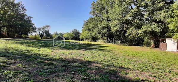 Exclusivité
📍Sur la commune de Chaillac sur Vienne 87200, à 8 minutes de Saint-Junien et à 8 minutes de Rochechouart, Terres Agricoles avec Lac et Chalet.
🌳🍄‍🟫Un terrain non constructible de 39169 m² composé de prairies et de bois (3/4 en herbe et 1/4 en bois).	
🦆Un lac de 10 000 m² environ, poissonneux (Carpes, Sandres, Gardons, Perches, Brochets). Il est alimenté par une source, à 350 mètres d'altitude et ne s'est jamais asséché. Profondeur, entre 5 et 6 mètres.
🛖Un chalet "off-grid", non raccordé aux réseaux (eau, électricité, fibre) qui comprend une pièce de vie de 21 m², une terrasse et une dépendance attenante. Absence d'assainissement.
Une douche et des toilettes sèches se trouvent à l'extérieur.
Sur place, également un puits alimenté par des sources, une caravane et une barque.
Il est possible d'y habiter, à condition d'acheminer le réseau d'eau courante jusqu'au chalet (300 mètres).
Arbres sur place : Chênes, Châtaigniers, Pins Sylvestres, Erable Canadien, Chêne Américain, Peupliers et Sapins.
Toutes commodités à moins de 10 minutes.