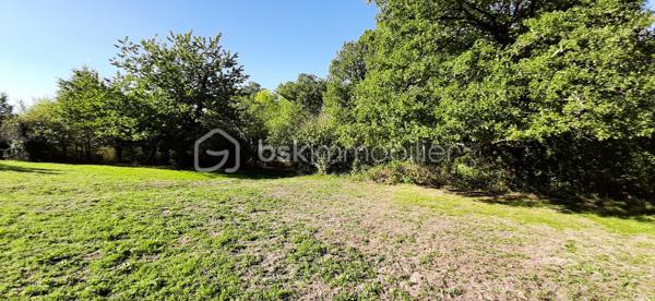 Exclusivité
📍Sur la commune de Chaillac sur Vienne 87200, à 8 minutes de Saint-Junien et à 8 minutes de Rochechouart, Terres Agricoles avec Lac et Chalet.
🌳🍄‍🟫Un terrain non constructible de 39169 m² composé de prairies et de bois (3/4 en herbe et 1/4 en bois).	
🦆Un lac de 10 000 m² environ, poissonneux (Carpes, Sandres, Gardons, Perches, Brochets). Il est alimenté par une source, à 350 mètres d'altitude et ne s'est jamais asséché. Profondeur, entre 5 et 6 mètres.
🛖Un chalet "off-grid", non raccordé aux réseaux (eau, électricité, fibre) qui comprend une pièce de vie de 21 m², une terrasse et une dépendance attenante. Absence d'assainissement.
Une douche et des toilettes sèches se trouvent à l'extérieur.
Sur place, également un puits alimenté par des sources, une caravane et une barque.
Il est possible d'y habiter, à condition d'acheminer le réseau d'eau courante jusqu'au chalet (300 mètres).
Arbres sur place : Chênes, Châtaigniers, Pins Sylvestres, Erable Canadien, Chêne Américain, Peupliers et Sapins.
Toutes commodités à moins de 10 minutes.