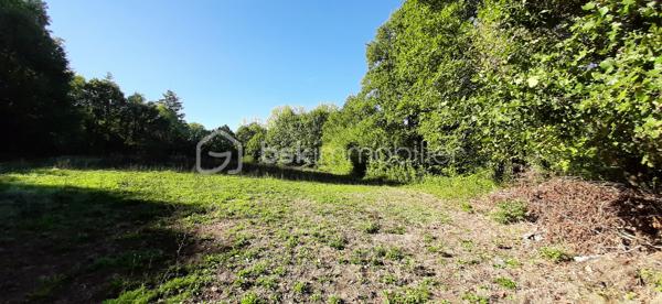 Exclusivité
📍Sur la commune de Chaillac sur Vienne 87200, à 8 minutes de Saint-Junien et à 8 minutes de Rochechouart, Terres Agricoles avec Lac et Chalet.
🌳🍄‍🟫Un terrain non constructible de 39169 m² composé de prairies et de bois (3/4 en herbe et 1/4 en bois).	
🦆Un lac de 10 000 m² environ, poissonneux (Carpes, Sandres, Gardons, Perches, Brochets). Il est alimenté par une source, à 350 mètres d'altitude et ne s'est jamais asséché. Profondeur, entre 5 et 6 mètres.
🛖Un chalet "off-grid", non raccordé aux réseaux (eau, électricité, fibre) qui comprend une pièce de vie de 21 m², une terrasse et une dépendance attenante. Absence d'assainissement.
Une douche et des toilettes sèches se trouvent à l'extérieur.
Sur place, également un puits alimenté par des sources, une caravane et une barque.
Il est possible d'y habiter, à condition d'acheminer le réseau d'eau courante jusqu'au chalet (300 mètres).
Arbres sur place : Chênes, Châtaigniers, Pins Sylvestres, Erable Canadien, Chêne Américain, Peupliers et Sapins.
Toutes commodités à moins de 10 minutes.