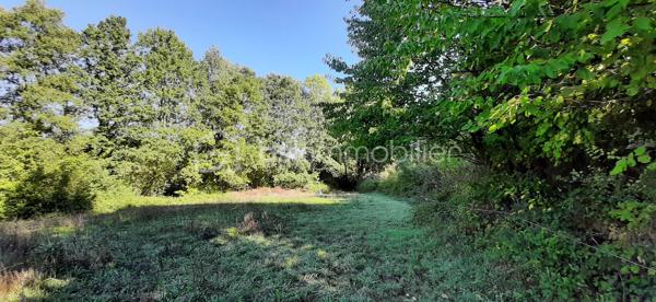 Exclusivité
📍Sur la commune de Chaillac sur Vienne 87200, à 8 minutes de Saint-Junien et à 8 minutes de Rochechouart, Terres Agricoles avec Lac et Chalet.
🌳🍄‍🟫Un terrain non constructible de 39169 m² composé de prairies et de bois (3/4 en herbe et 1/4 en bois).	
🦆Un lac de 10 000 m² environ, poissonneux (Carpes, Sandres, Gardons, Perches, Brochets). Il est alimenté par une source, à 350 mètres d'altitude et ne s'est jamais asséché. Profondeur, entre 5 et 6 mètres.
🛖Un chalet "off-grid", non raccordé aux réseaux (eau, électricité, fibre) qui comprend une pièce de vie de 21 m², une terrasse et une dépendance attenante. Absence d'assainissement.
Une douche et des toilettes sèches se trouvent à l'extérieur.
Sur place, également un puits alimenté par des sources, une caravane et une barque.
Il est possible d'y habiter, à condition d'acheminer le réseau d'eau courante jusqu'au chalet (300 mètres).
Arbres sur place : Chênes, Châtaigniers, Pins Sylvestres, Erable Canadien, Chêne Américain, Peupliers et Sapins.
Toutes commodités à moins de 10 minutes.