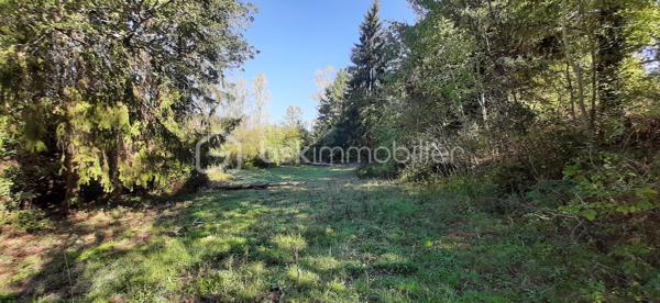 Exclusivité
📍Sur la commune de Chaillac sur Vienne 87200, à 8 minutes de Saint-Junien et à 8 minutes de Rochechouart, Terres Agricoles avec Lac et Chalet.
🌳🍄‍🟫Un terrain non constructible de 39169 m² composé de prairies et de bois (3/4 en herbe et 1/4 en bois).	
🦆Un lac de 10 000 m² environ, poissonneux (Carpes, Sandres, Gardons, Perches, Brochets). Il est alimenté par une source, à 350 mètres d'altitude et ne s'est jamais asséché. Profondeur, entre 5 et 6 mètres.
🛖Un chalet "off-grid", non raccordé aux réseaux (eau, électricité, fibre) qui comprend une pièce de vie de 21 m², une terrasse et une dépendance attenante. Absence d'assainissement.
Une douche et des toilettes sèches se trouvent à l'extérieur.
Sur place, également un puits alimenté par des sources, une caravane et une barque.
Il est possible d'y habiter, à condition d'acheminer le réseau d'eau courante jusqu'au chalet (300 mètres).
Arbres sur place : Chênes, Châtaigniers, Pins Sylvestres, Erable Canadien, Chêne Américain, Peupliers et Sapins.
Toutes commodités à moins de 10 minutes.