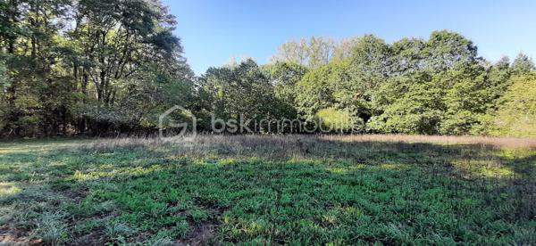 Exclusivité
📍Sur la commune de Chaillac sur Vienne 87200, à 8 minutes de Saint-Junien et à 8 minutes de Rochechouart, Terres Agricoles avec Lac et Chalet.
🌳🍄‍🟫Un terrain non constructible de 39169 m² composé de prairies et de bois (3/4 en herbe et 1/4 en bois).	
🦆Un lac de 10 000 m² environ, poissonneux (Carpes, Sandres, Gardons, Perches, Brochets). Il est alimenté par une source, à 350 mètres d'altitude et ne s'est jamais asséché. Profondeur, entre 5 et 6 mètres.
🛖Un chalet "off-grid", non raccordé aux réseaux (eau, électricité, fibre) qui comprend une pièce de vie de 21 m², une terrasse et une dépendance attenante. Absence d'assainissement.
Une douche et des toilettes sèches se trouvent à l'extérieur.
Sur place, également un puits alimenté par des sources, une caravane et une barque.
Il est possible d'y habiter, à condition d'acheminer le réseau d'eau courante jusqu'au chalet (300 mètres).
Arbres sur place : Chênes, Châtaigniers, Pins Sylvestres, Erable Canadien, Chêne Américain, Peupliers et Sapins.
Toutes commodités à moins de 10 minutes.