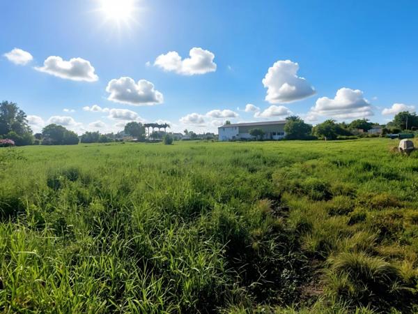 Grand Terrain plat à vendre de 3 441,00 m² SAINTE ANNE (971)