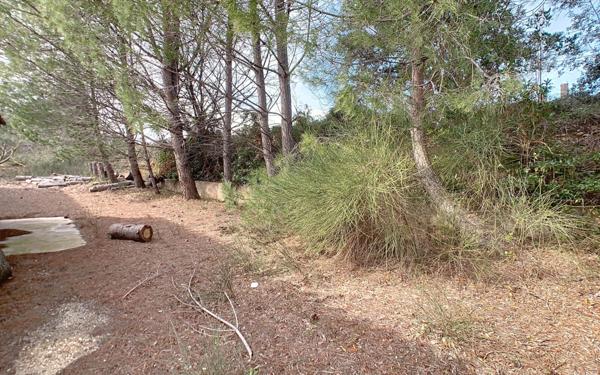 Maison à vendre    4 pièces •  Rochefort-du-Gard