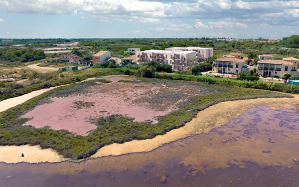 Appartement à vendre    4 pièces • 91,75 m2 Le Grau-du-Roi