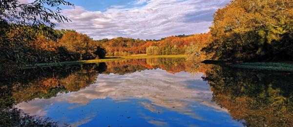 Le vieux moulin de Puntet à Saint-Martin-de-Seignanx