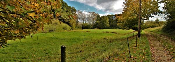 Le vieux moulin de Puntet à Saint-Martin-de-Seignanx