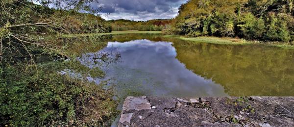 Le vieux moulin de Puntet à Saint-Martin-de-Seignanx