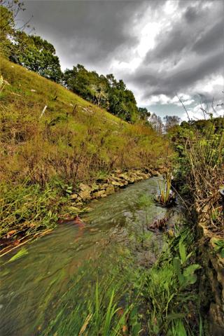 Le vieux moulin de Puntet à Saint-Martin-de-Seignanx