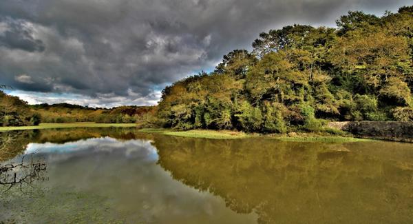 Le vieux moulin de Puntet à Saint-Martin-de-Seignanx