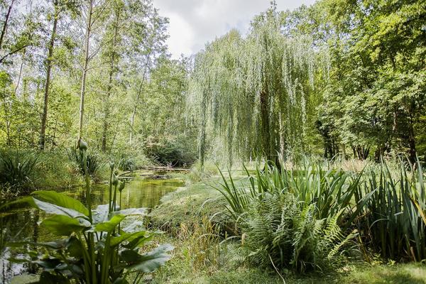 Maison  de luxe en vente - 