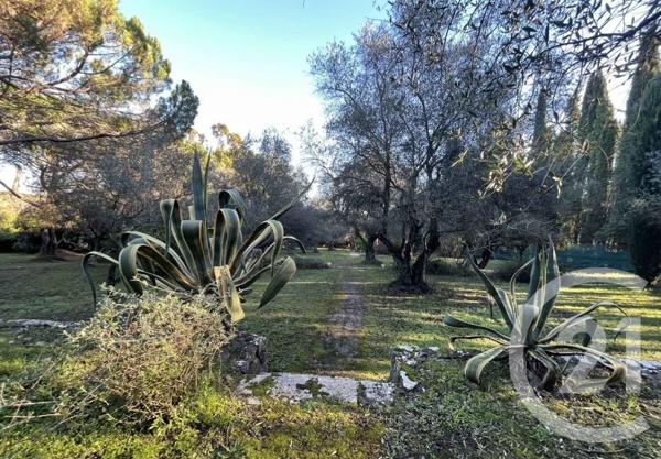 Terrain à vendre  2656 m2 MOUGINS - 06