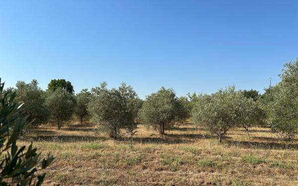 Maison à vendre    7 pièces •  Carpentras