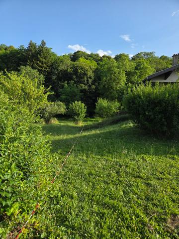 Terrain Bettant