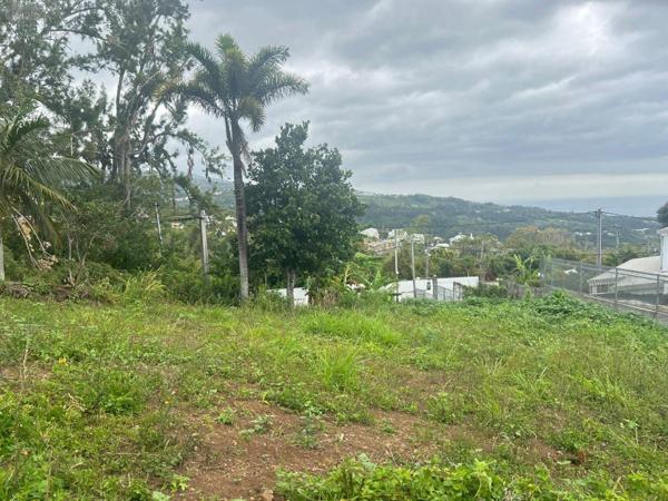 Terrain à Batir à vendre à La-Montagne à la Réunion (97417), ref : 97405/183