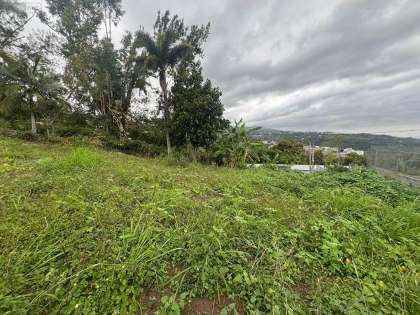 Terrain à Batir à vendre à La-Montagne à la Réunion (97417), ref : 97405/183