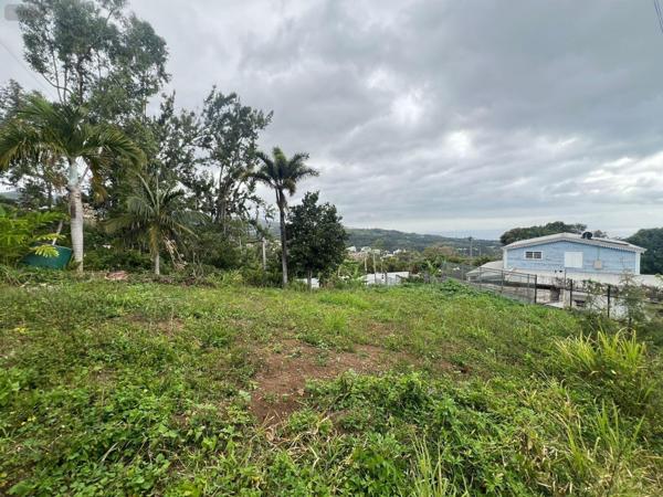Terrain à Batir à vendre à La-Montagne à la Réunion (97417), ref : 97405/183