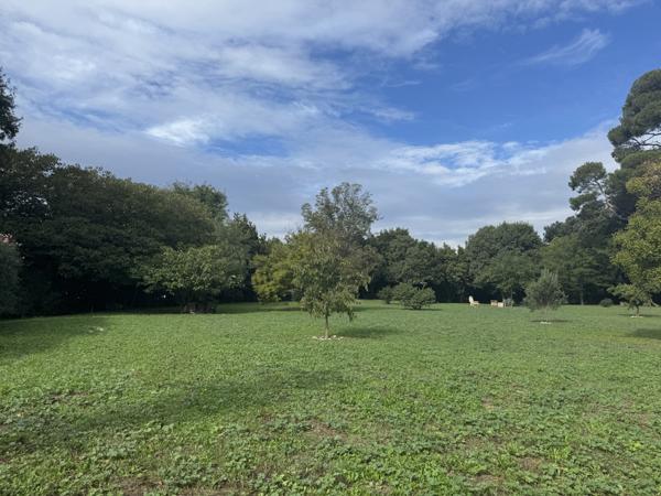 Marseille (13008) Appartement T2 - Dernier étage - Traversant