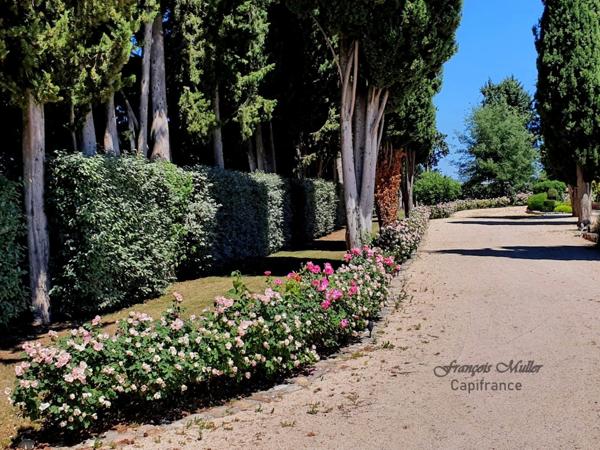 Propriété de caractère avec piscine et gîtes – Art de vivre en Provence