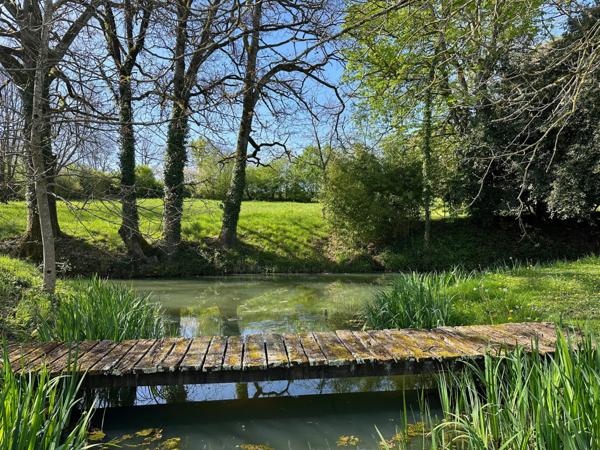 Dpt Gers (32), à vendre MONTREAL maison gasconne de 222m2 avec gîte et piscine - 1,5 hectare