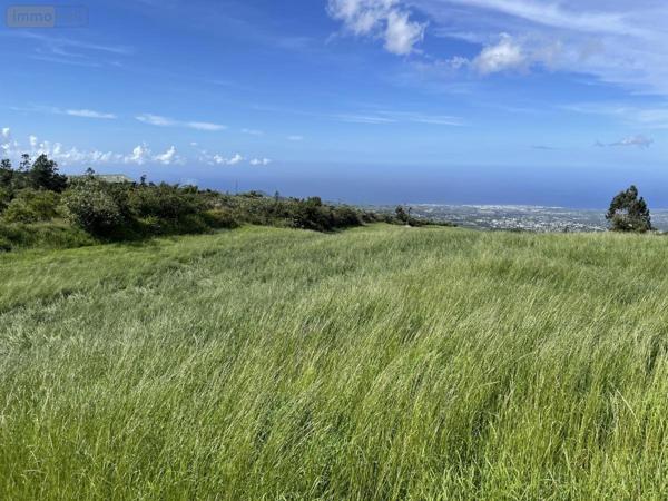 Terrain à Batir à vendre à Le Tampon à la Réunion (97430), ref : 97411-342