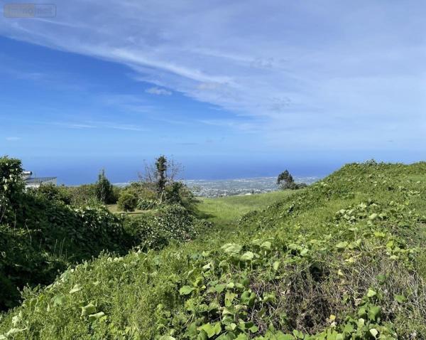 Terrain à Batir à vendre à Le Tampon à la Réunion (97430), ref : 97411-342