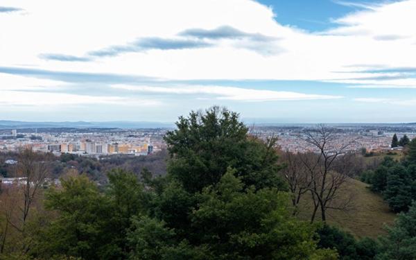 Appartement à vendre    3 pièces • 63,30 m2 Caluire-et-Cuire