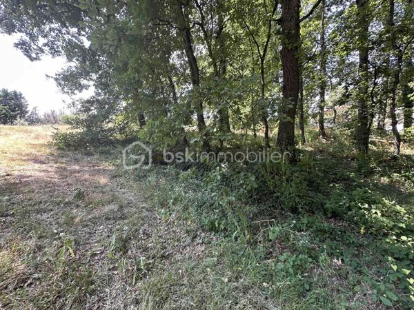 Terrain de 2 135 m²