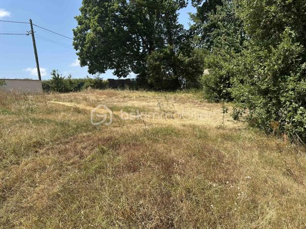 Terrain de 2 135 m²