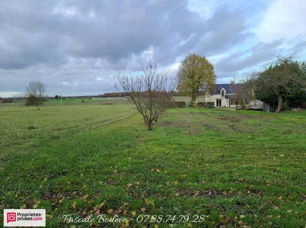 Charmante longère - 7 200 m² de terrain - VERNANTES (49390)