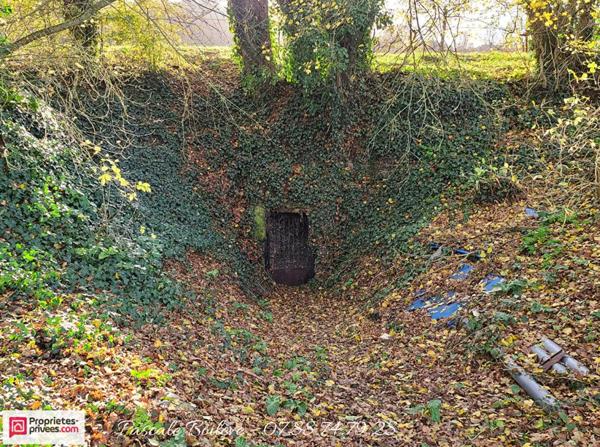 Charmante longère - 7 200 m² de terrain - VERNANTES (49390)