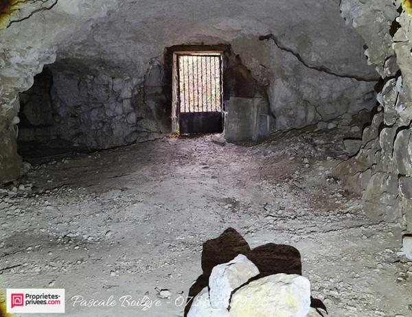 Charmante longère - 7 200 m² de terrain - VERNANTES (49390)