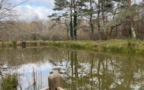 Terrain à vendre    Villefranche-sur-Cher