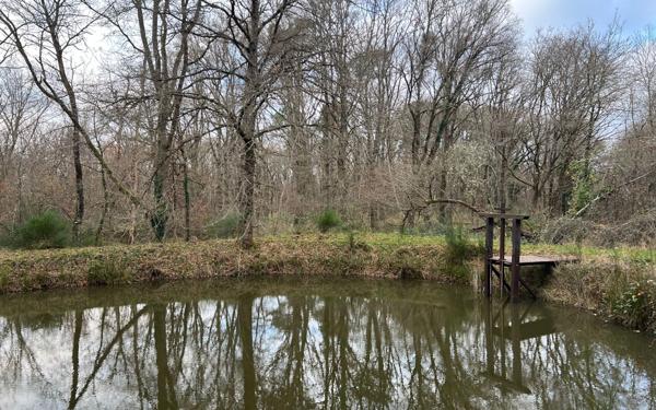 Terrain à vendre    Villefranche-sur-Cher