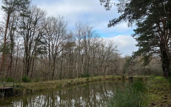 Terrain à vendre    Villefranche-sur-Cher
