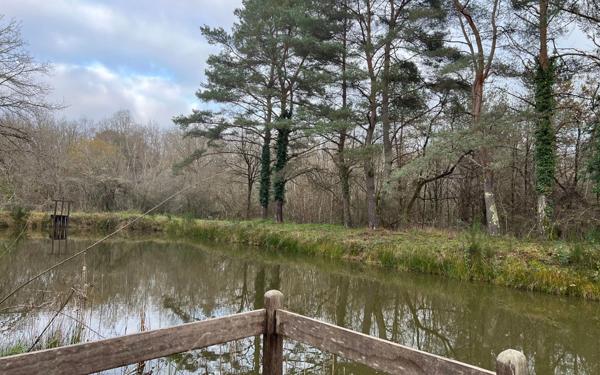 Terrain à vendre    Villefranche-sur-Cher