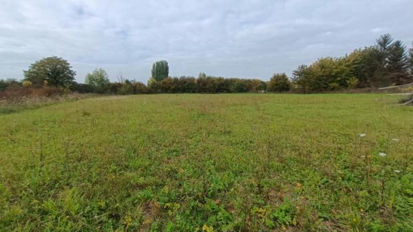 Terrain à ROMILLY-SUR-SEINE, 10100 - 5165m²