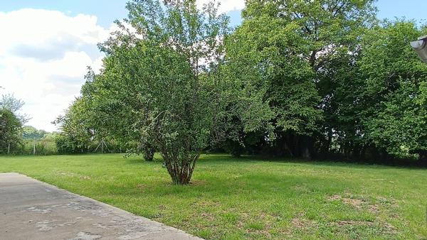Maison à vendre à Saint-Dizier-Masbaraud (23400) - Creuse