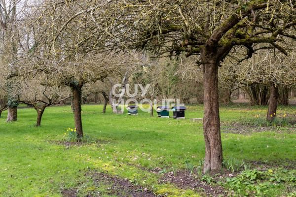 Maison de maitre avec gite. Un havre de paix au coeur du parc du Marquentaire