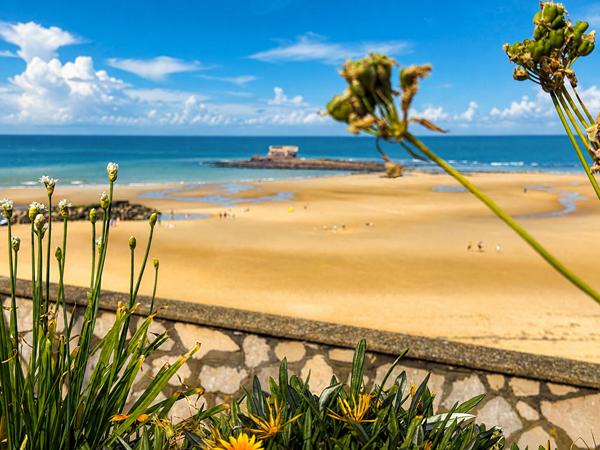 Plage Le Portel Appartement 2 pièce(s) 37 m2