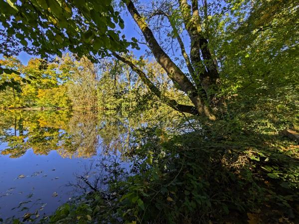 Maison à vendre à Boulazac Isle Manoire (24750) - Dordogne