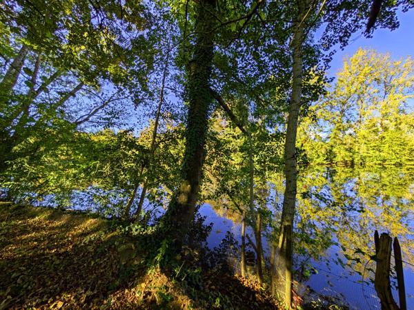 Maison à vendre à Boulazac Isle Manoire (24750) - Dordogne