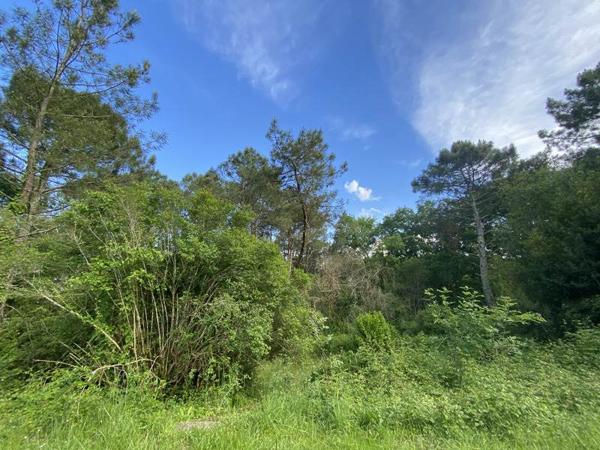 Maison à vendre |  Cocumont |  7 pièces | 128 m²