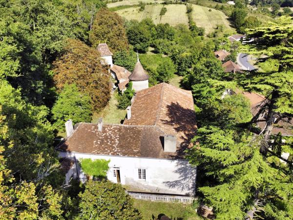 Chateau à vendre à Saint-Astier (24110) - Dordogne