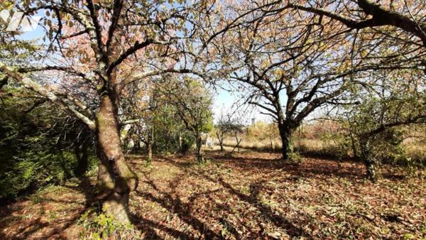 TERRAIN de 1288 m² avec certificat d'urbanisme