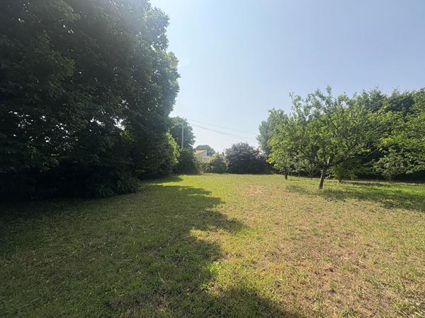 Maison de charme à rénover avec grand terrain- Fort potentiel !