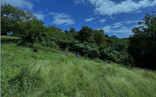 TERRAIN 1000m2 à VENDRE vue dégagé
